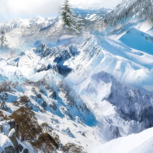 

Holiday [LP] - VINYL