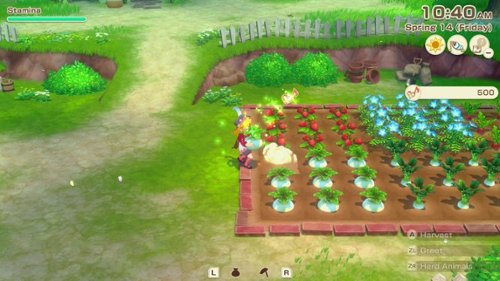 XSEED Games Story of Seasons: Grand Bazaar Premium Edition - Nintendo Switch GLOBAL SHIPPING