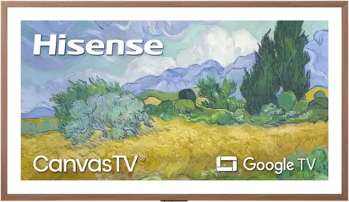 Hisense  
CanvasTV  
Google TV