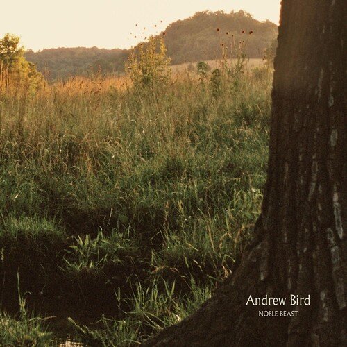  Noble Beast [LP] - VINYL