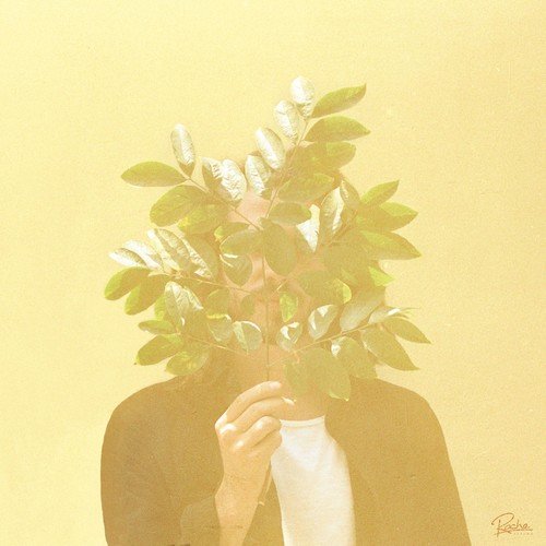  French Kiwi Juice [CD]