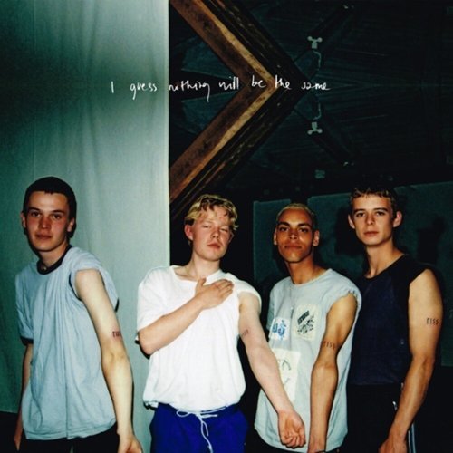 I Guess Nothing Will Be the Same [LP] - VINYL