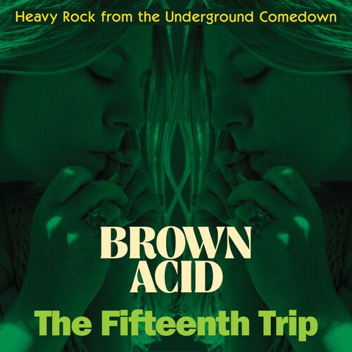 

Brown Acid: The Fifteenth Trip [LP] - VINYL
