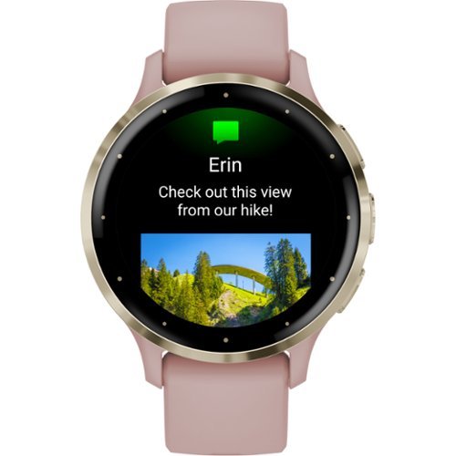 Garmin Venu 3S GPS Smartwatch 41 mm Fiber-reinforced polymer - Stainless Steel and Dust Rose GLOBAL SHIPPING