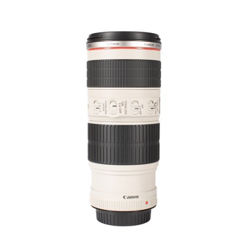 Canon EF 70 200mm f/4L IS USM Telephoto Zoom Lens + More