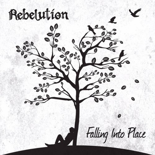  Falling Into Place [CD]