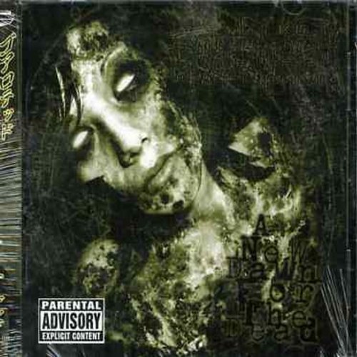  A New Dawn for the Dead [LP] - VINYL INTERNATIONAL SHIPPING