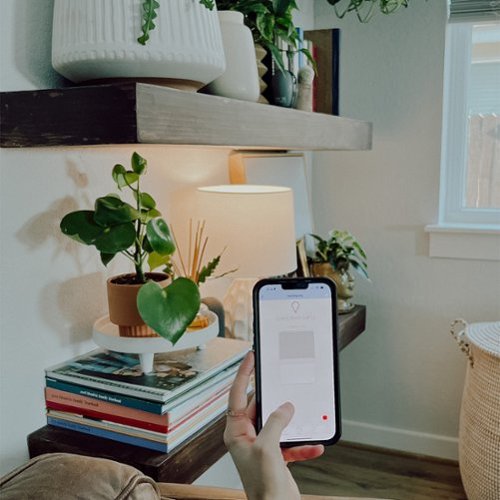 FEIT ELECTRIC A19 Smart LED Light Bulb - Multicolor SHOP ONLINE