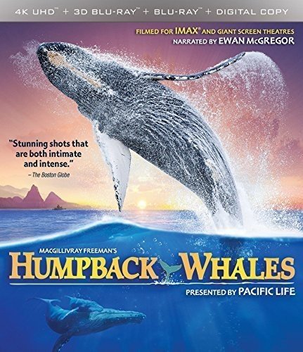  Humpback Whales [Includes Digital Copy] [4K Ultra HD Blu-ray/Blu-ray] [2015]