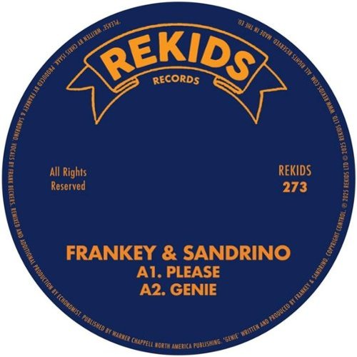Please [12 inch Vinyl Single]