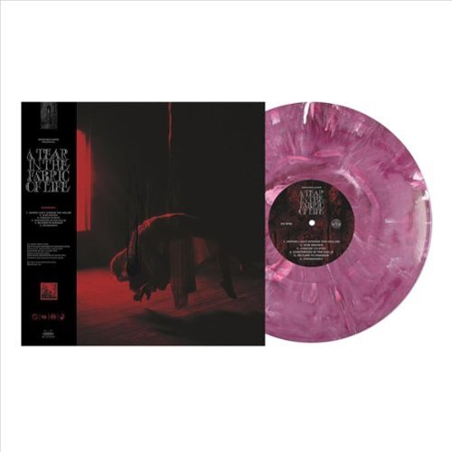 A Tear in the Fabric of Life [Extended Play Record]