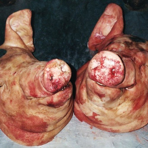 Haram [LP] - VINYL
