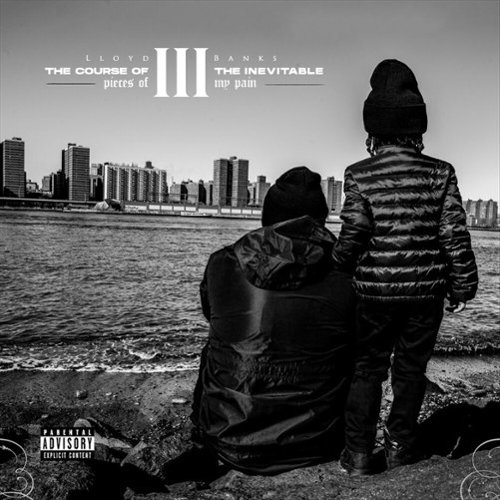 The Course of the Inevitable 3: Pieces of My Pain [LP] - VINYL