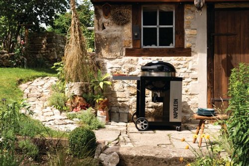 Napoleon - 22" PRO Charcoal Kettle Grill with Cart - Black-Alt_View_Standard_18 