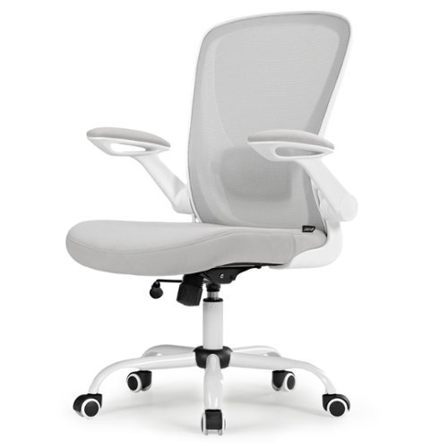 Eureka Ergonomic - Ergonomic Mesh Office Chair with Adjustable Lumbar Support & Flip-Up Armrests - Gray-Front_Standard 