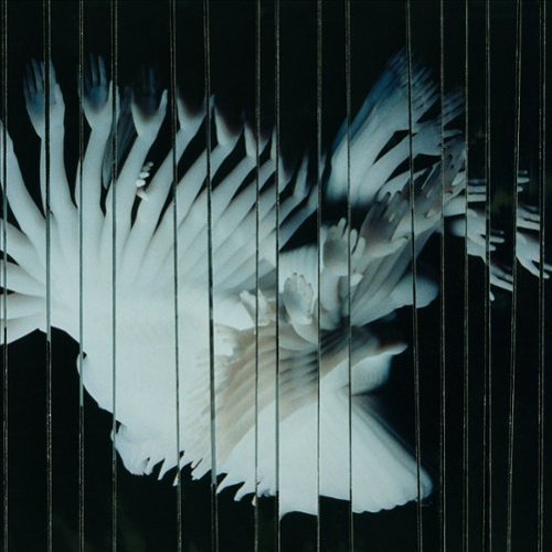 Endlessly [LP] [VINYL]