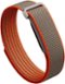 Google - Fitbit Air - Special Edition Stephen Curry - Screenless Fitness and Health Tracking - Works with Android and iOS - Rye - (2026)-Front_Standard