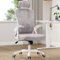 Trinkets Crazed - Ergonomic Office Chair, Home Office Desk Chair with Headrest, High Back Computer Chair with Armrests - Gray-Front_Standard