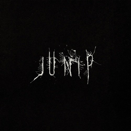 

Junip [LP] - VINYL