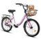 Anysun - 20 Inch Kids Bike for Boys & Girls - Coaster & V-Brake, 1-Speed, Steel Frame, Chain Guard, Rear Rack - Pink-Front_Standard