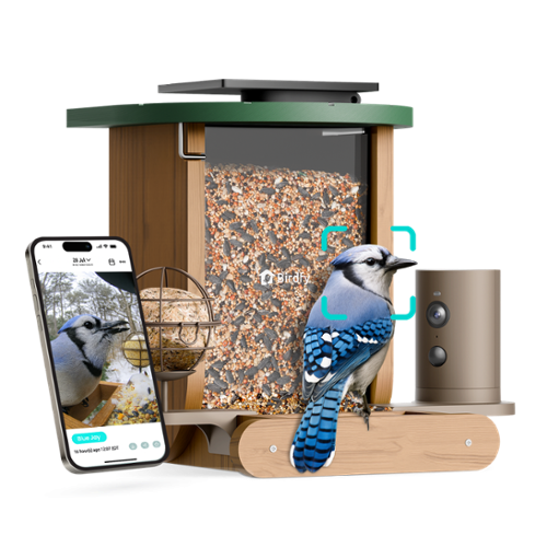 BIRDFY - Smart Bird Feeder Cedar D with Solar Panel, 1080P Camera, Lifetime Free AI Bird ID, Slow Motion, Night Vision, Durable - Brown-Front_Standard 