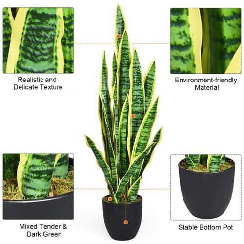 walmart spider plant Spider Plant main image 1