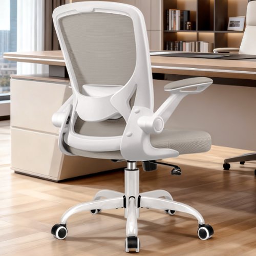 KERDOM - Colorful Mesh Ergonomic Office Chair with Adjustable Lumbar Support & Height, Swivel Desk Chair with Flip-up Arms, Tilt - Light Gray-Front_Standard 