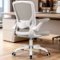 KERDOM - Colorful Mesh Ergonomic Office Chair with Adjustable Lumbar Support & Height, Swivel Desk Chair with Flip-up Arms, Tilt - Light Gray-Front_Standard