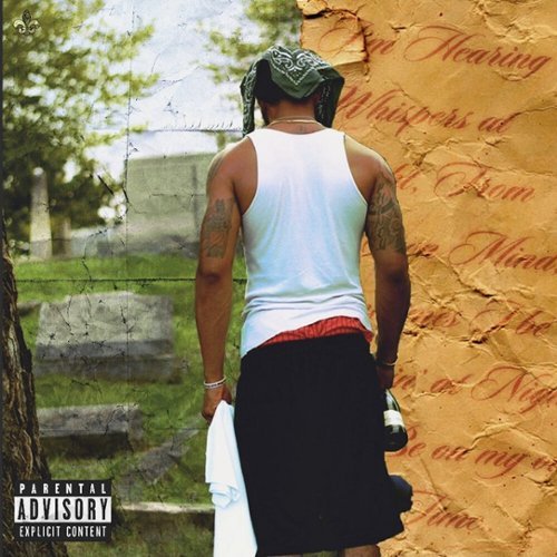 

I'm Mad Hol'on [LP] - VINYL