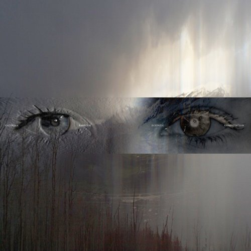 Ecstatic Computation [Silver Vinyl] [LP] - VINYL