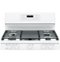 GE - 6.8 Cu. Ft. Self-Cleaning Freestanding Double Oven Gas Convection Range-Alt_View_Standard_20 