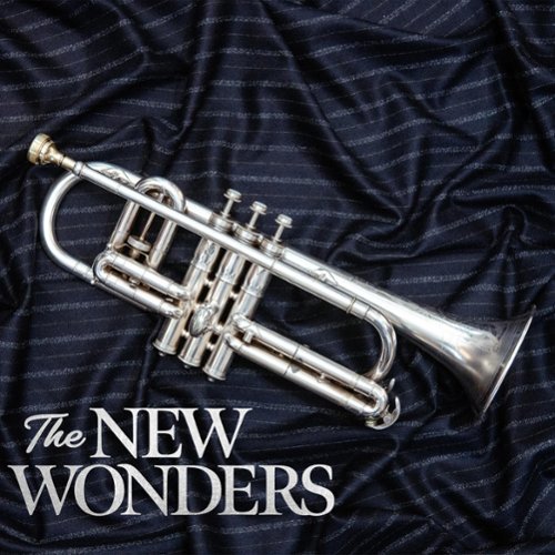 The New Wonders [LP] - VINYL