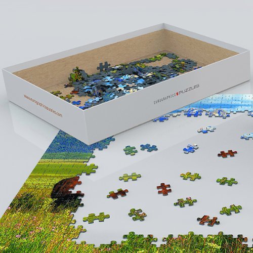 Eurographics Grand Teton National Park Puzzle, 1000 Pieces WORLDWIDE DELIVERY