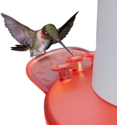 Bird Buddy Smart Hummingbird Feeder with Solar Roof - White BUY IN AUSTRALIA