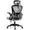 KERDOM - High Back Ergonomic Office Chair with Adjustable Headrest & Lumbar Support Tilt Reclining Computer Chair for Home Office - Light Gray-Front_Standard