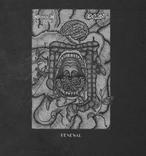  Renewal [LP] - VINYL INTERNATIONAL SHIPPING