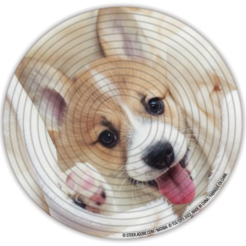 TCG Toys Spin Flip Puzzle: Puppies & Kittens 2L-  2-In-1: Double-Sided Puzzle,8+ WORLDWIDE DELIVERY