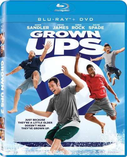  Grown Ups 2