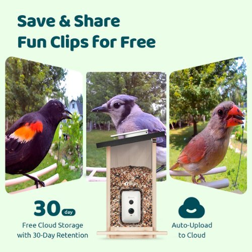 BIRDFY Smart Bird Feeder with Camera, Bird Watching Camera with Solar Panel, AI Identify 6000+ Species - Ebony WORLDWIDE DELIVERY