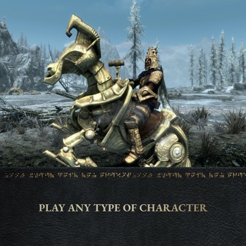 Microsoft The Elder Scrolls V: Skyrim Anniversary Edition [Code in Box] - Nintendo Switch 2 HOW TO BUY