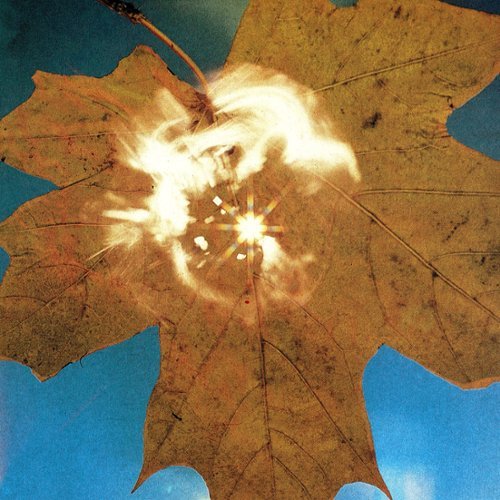 

Force of the Wind [LP] - VINYL