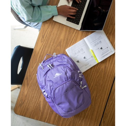 High Sierra BTS 2020 Swoop SG Backpack - Light Purple GLOBAL SHIPPING
