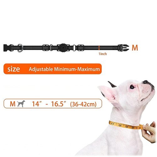 SaharaCase Nylon Dog Standard Collar with Apple AirTag slot - 14-in to 20-in Neck - Black BUY IN AUSTRALIA