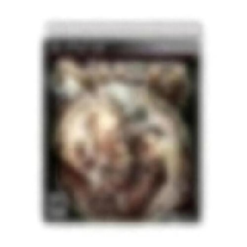 NIER - PlayStation 3 - PlayStation 3-Front_Standard 