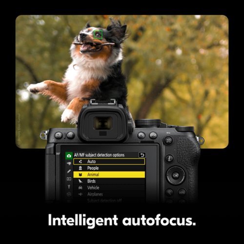 Nikon Z50II Mirrorless Camera Two Lens Kit with NIKKOR Z DX 16-50mm f/3.5-6.3 VR and NIKKOR Z DX 50-250mm f/4.5-6.3 VR Lenses - Black HOW TO BUY