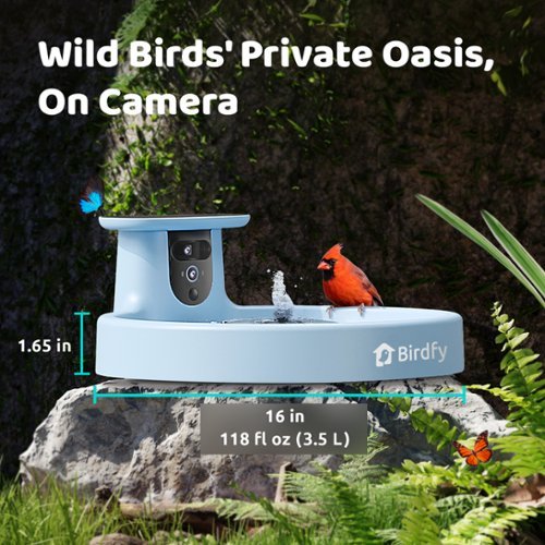BIRDFY Birdfy Bird Bath Pro AI with Camera, Solar Powered, 1080P HD Bird Camera Auto Capture Bird Bath Videos - Blue WORLDWIDE DELIVERY