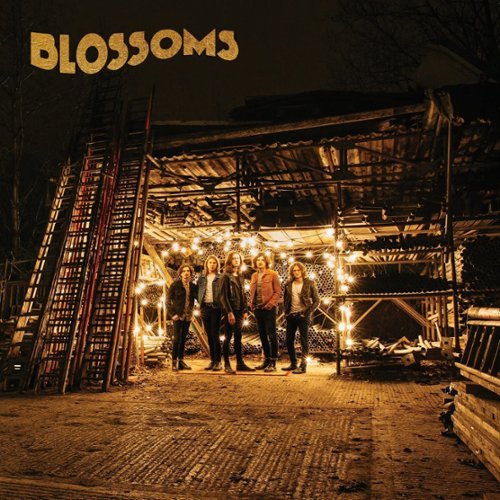 

Blossoms [National Album Day Exclusive Orange Vinyl] [LP] - VINYL