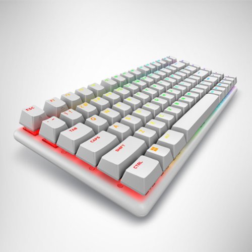 Alienware Pro 75% Wireless Mechanical Gaming Keyboard with RGB Back Lighting - Lunar Light BUY IN UAE