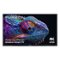 Furrion - Aurora 75" Partial-Sun Premier Outdoor Smart 4K LED Impact-Resistant Screen WiFi-Boosting Antennas 1500 Nit-Front_Standard