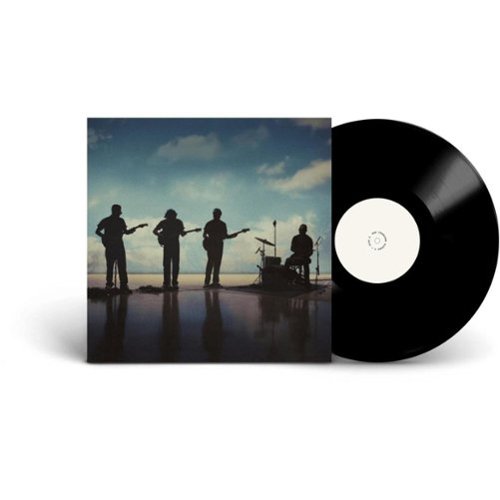 The Fearless Flyers V [LP] [VINYL]